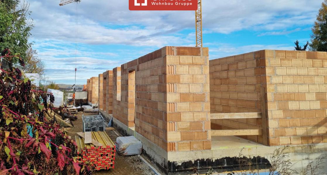 project-rsw-bild11-willh