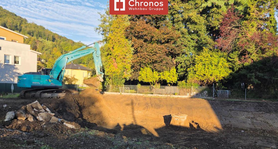 project-cw10-bild9-willh