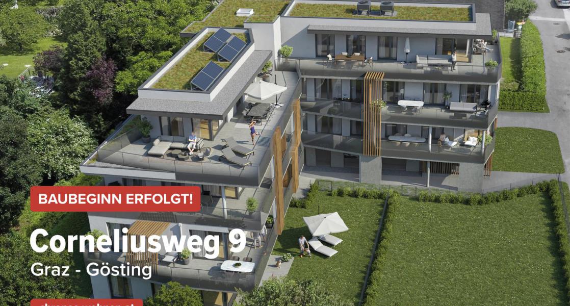 project-cw9-banner2-aussen-willh