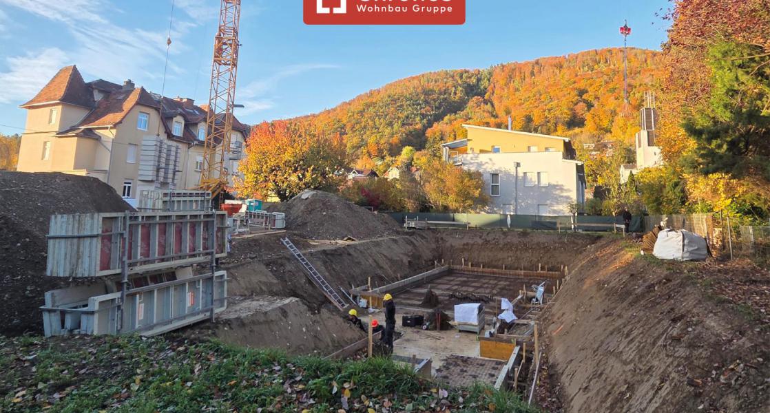 project-cw9-bild9-will