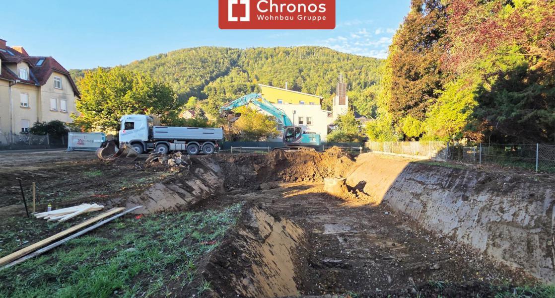 project-cw10-bild8-willh