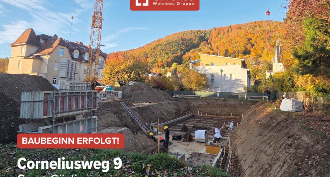 project-cw9-bild10-will